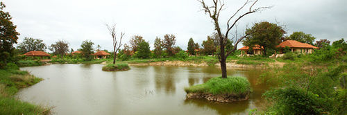Tuli Tiger Corridor Hotel Kurha Luaran gambar