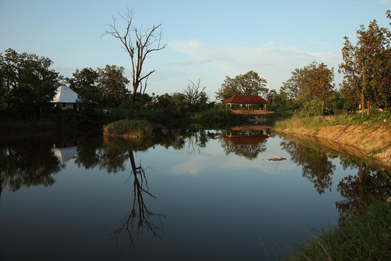 Tuli Tiger Corridor Hotel Kurha Luaran gambar